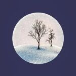 7 Dicas Incríveis de Como Treinar Jiu Jitsu Sozinho