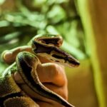 Com Quantos Anos Pode Fazer Jiu Jitsu? Descubra Aqui!