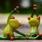 Descubra o que é Jiu Jitsu Brasileiro: História e Benefícios