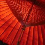 O que significa faixa amarela no jiu-jitsu? Descubra agora!