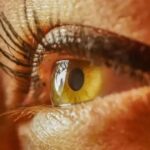 Quanto Tempo para Mudar de Faixa no Jiu Jitsu: Descubra Aqui!