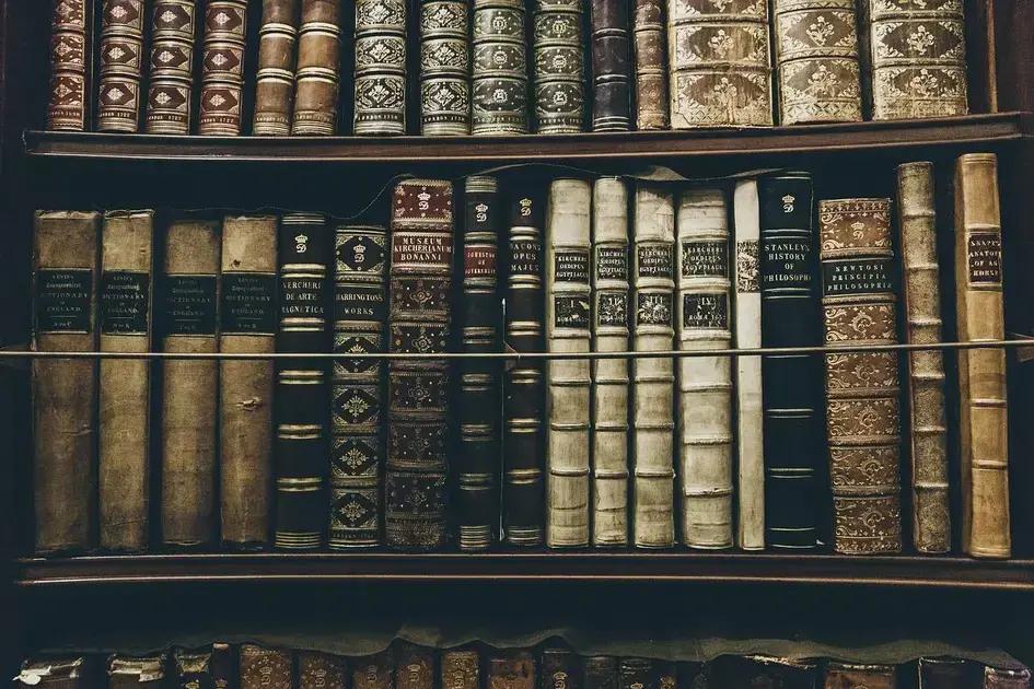 Quimonos: Tipos e Características que Você Precisa Saber