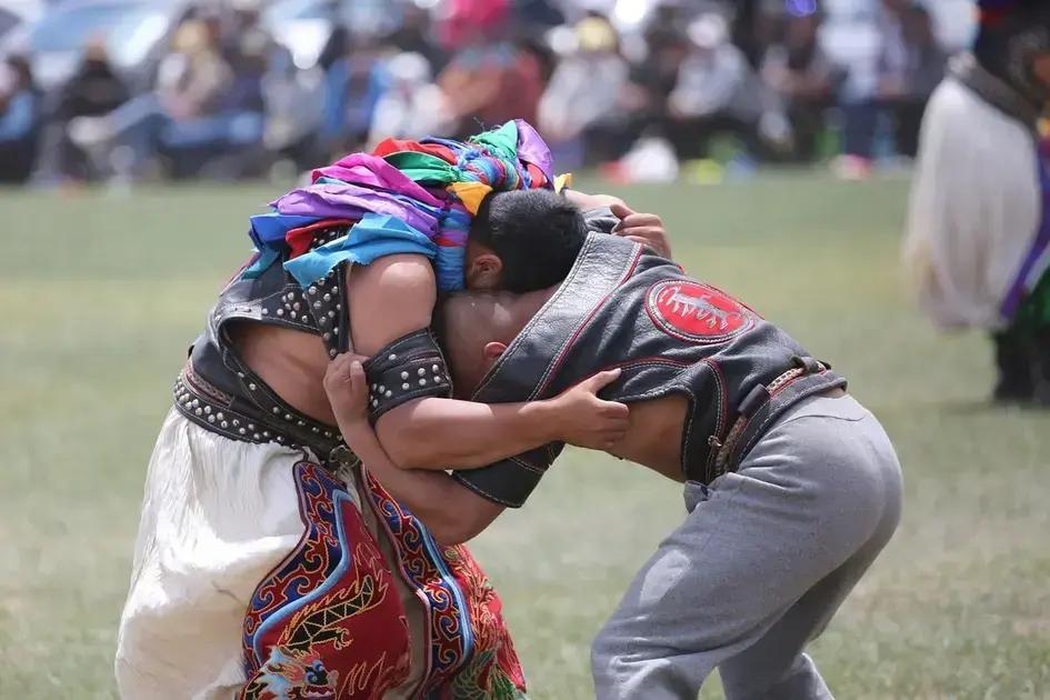 Renda de Lutadores Profissionais