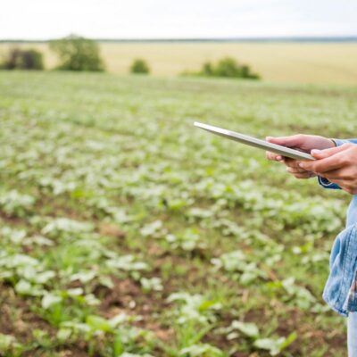 Como Funciona um ERP para Produtor Rural