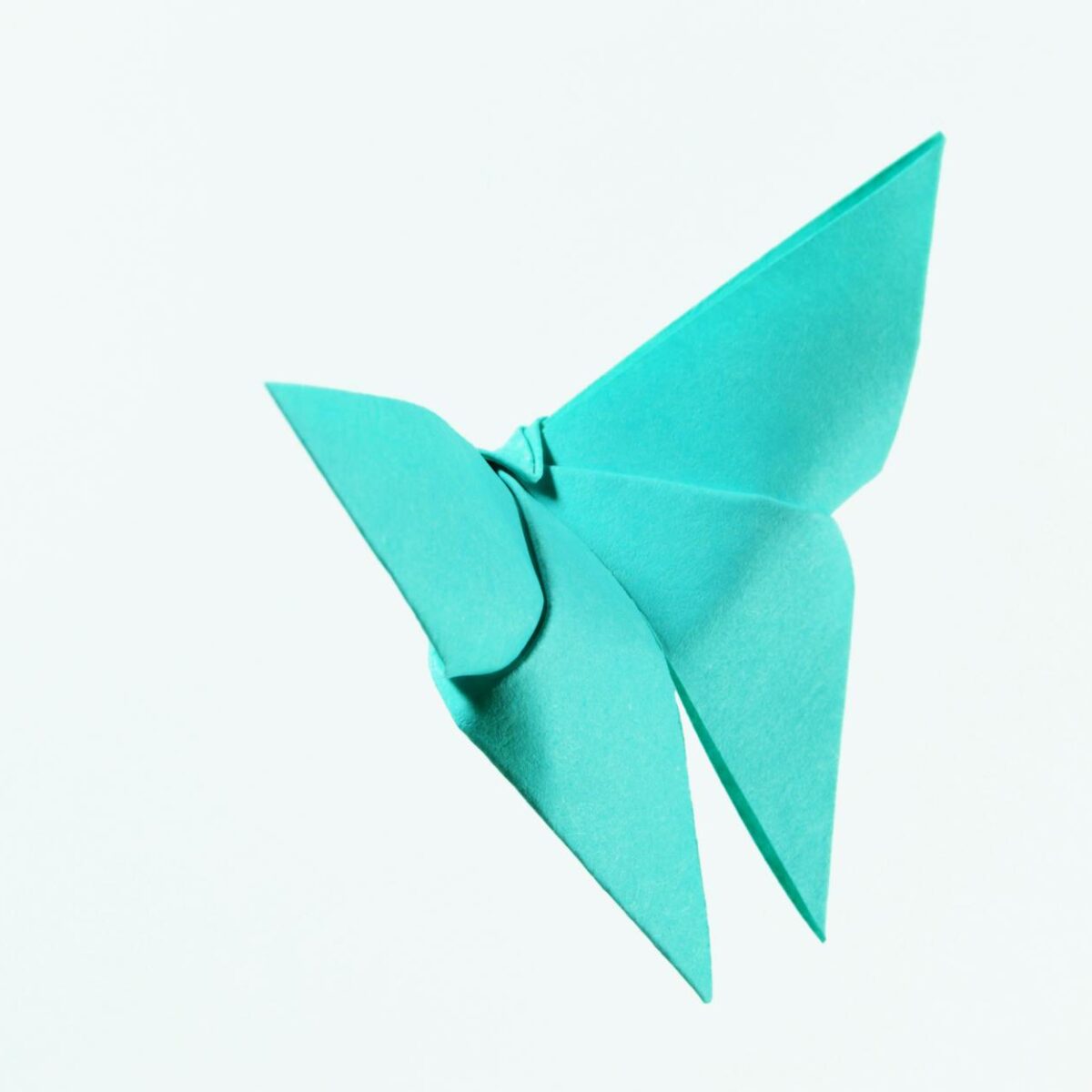 A Origem dos Sobrenomes: Como profissões e lugares deram nome às famílias.