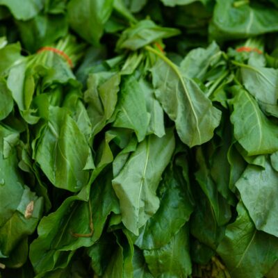 Alimentos Ricos em Ferro: O Guia Definitivo para Combater a Anemia em Adultos com Nutrição Inteligente — alimentos ricos em f