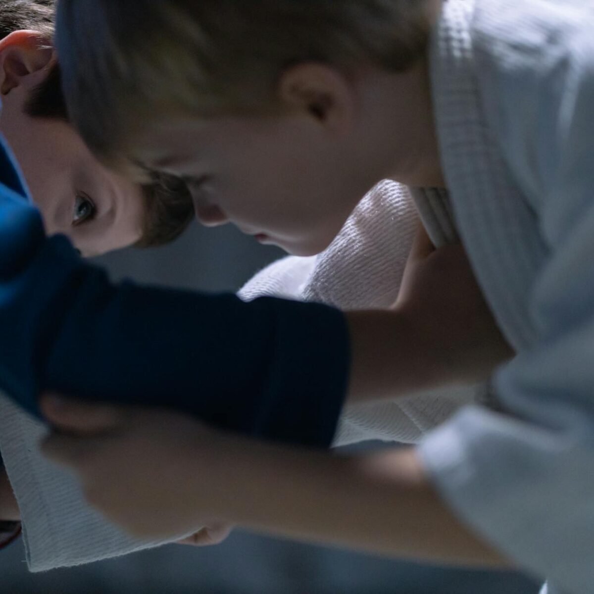 Jiu Jitsu Infantil: Desvende os Benefícios Incríveis para o Desenvolvimento Físico e Mental das Crianças — benefícios do jiu