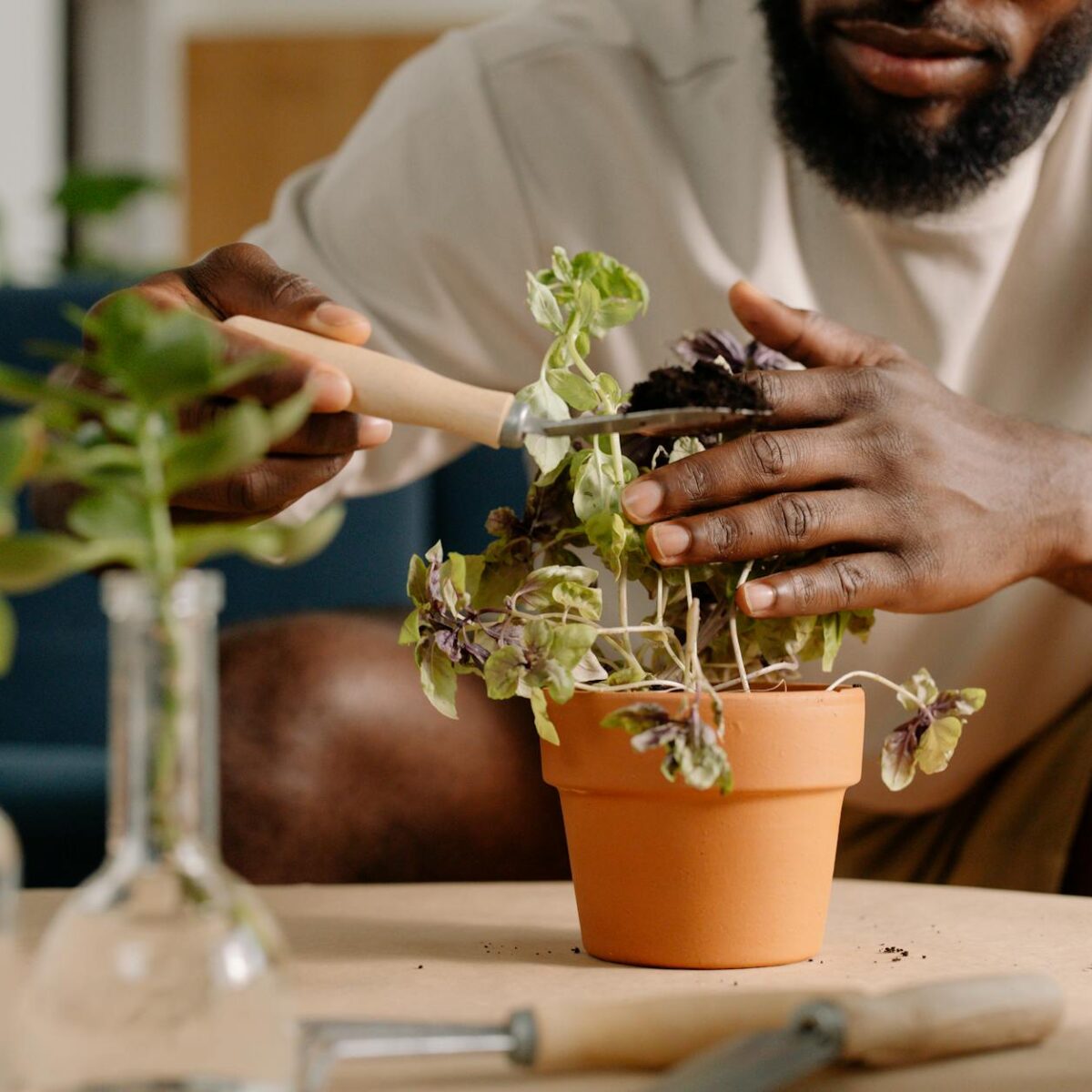 Jardinagem Descomplicada: O Guia Completo para Cuidar do Jardim em Casa Sem Experiência — como cuidar do jardim em casa sem e