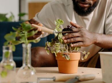 Jardinagem Descomplicada: O Guia Completo para Cuidar do Jardim em Casa Sem Experiência — como cuidar do jardim em casa sem e