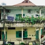Horta em Apartamento: O Guia Definitivo para Cultivar Sem Quintal, Passo a Passo! — como montar uma horta em apartamento sem