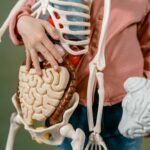 Desvendando a Mente: 15 Curiosidades Fascinantes sobre o Cérebro Humano que Poucos Conhecem — curiosidades sobre o cérebro hu