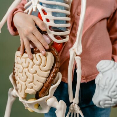 Desvendando a Mente: 15 Curiosidades Fascinantes sobre o Cérebro Humano que Poucos Conhecem — curiosidades sobre o cérebro hu