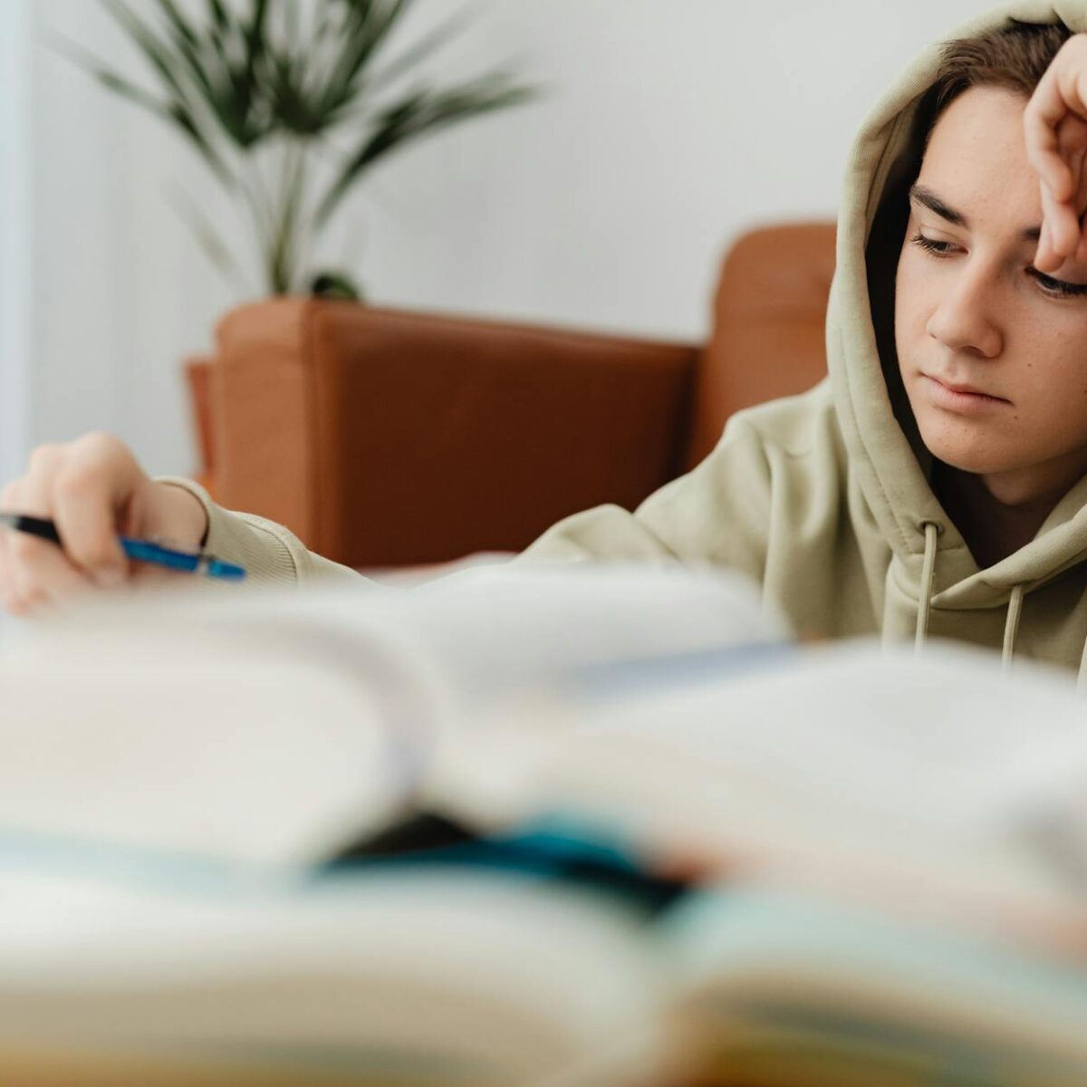 Concentração Total nos Estudos: Dicas Essenciais para Eliminar Distrações e Otimizar Seu Aprendizado — dicas para melhorar a
