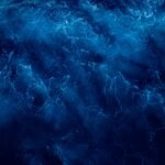 Os Segredos Inexplorados: Fatos Surpreendentes sobre o Oceano e a Vida Marinha Profunda que Você Precisa Conhecer — fatos sur