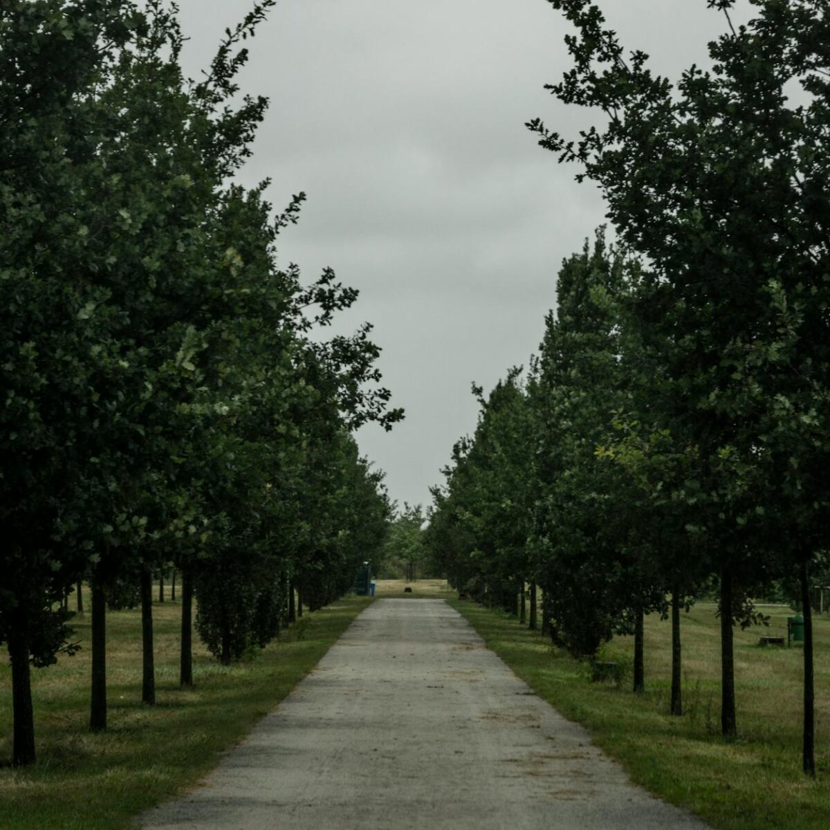 Para desvendar a origem das letras verdes descendo em O Código de Matrix, saiba que elas foram criadas por Simon Whiteley, in