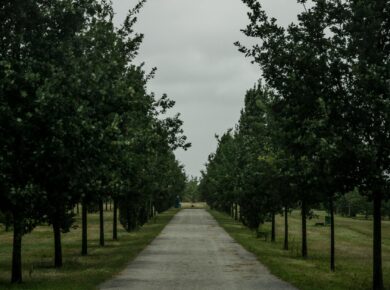 Para desvendar a origem das letras verdes descendo em O Código de Matrix, saiba que elas foram criadas por Simon Whiteley, in