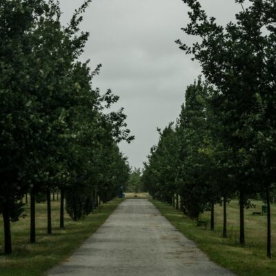 Para desvendar a origem das letras verdes descendo em O Código de Matrix, saiba que elas foram criadas por Simon Whiteley, in