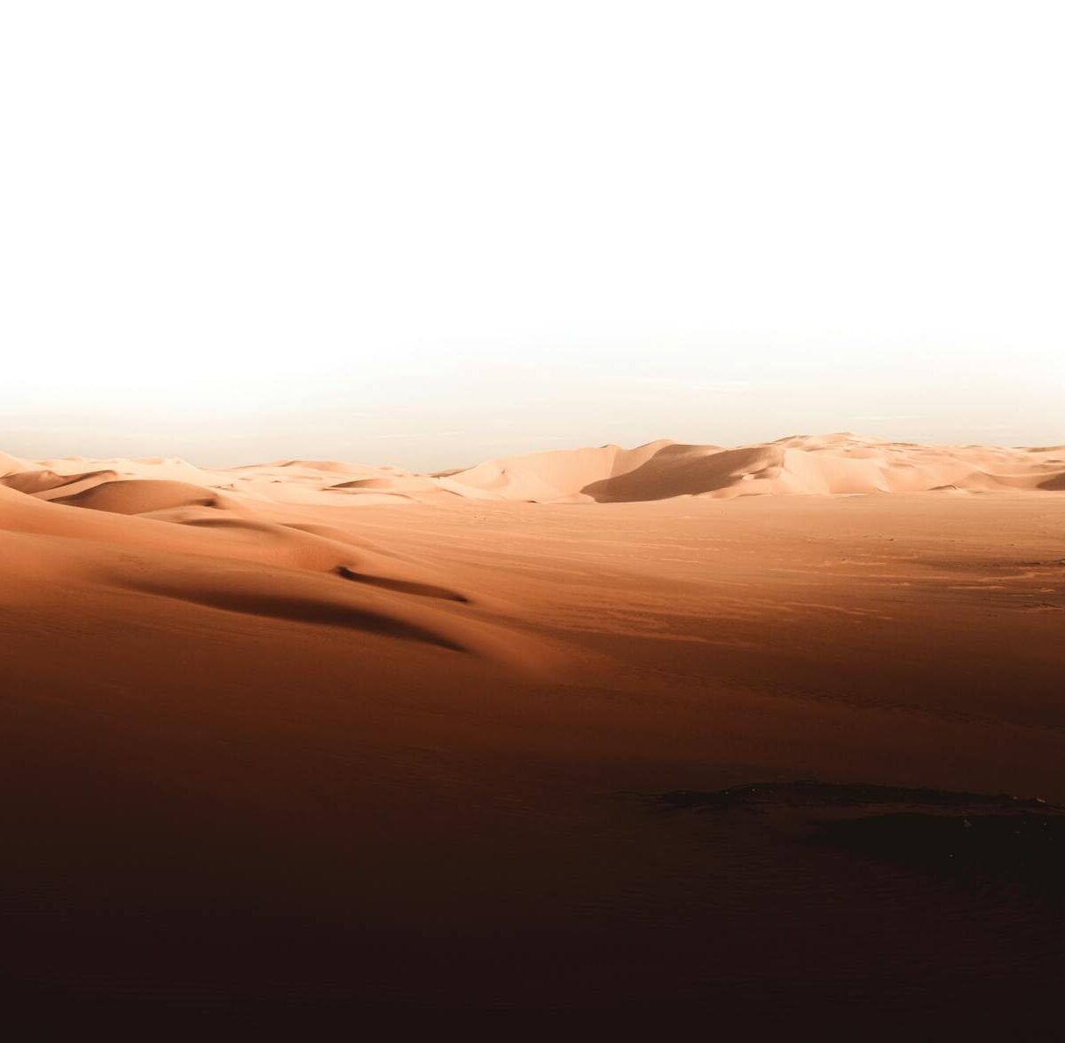 Para O Deserto, que é um ecossistema fascinante e muitas vezes mal compreendido, é crucial saber que ele se caracteriza pela