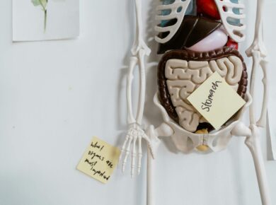 Para entender quão forte é o ácido estomacal e se ele realmente pode dissolver metal, é crucial saber que o ácido clorídrico