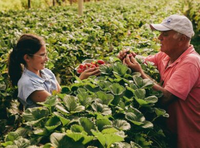 Principais nutrientes essenciais para um adubo eficaz na fase de floração