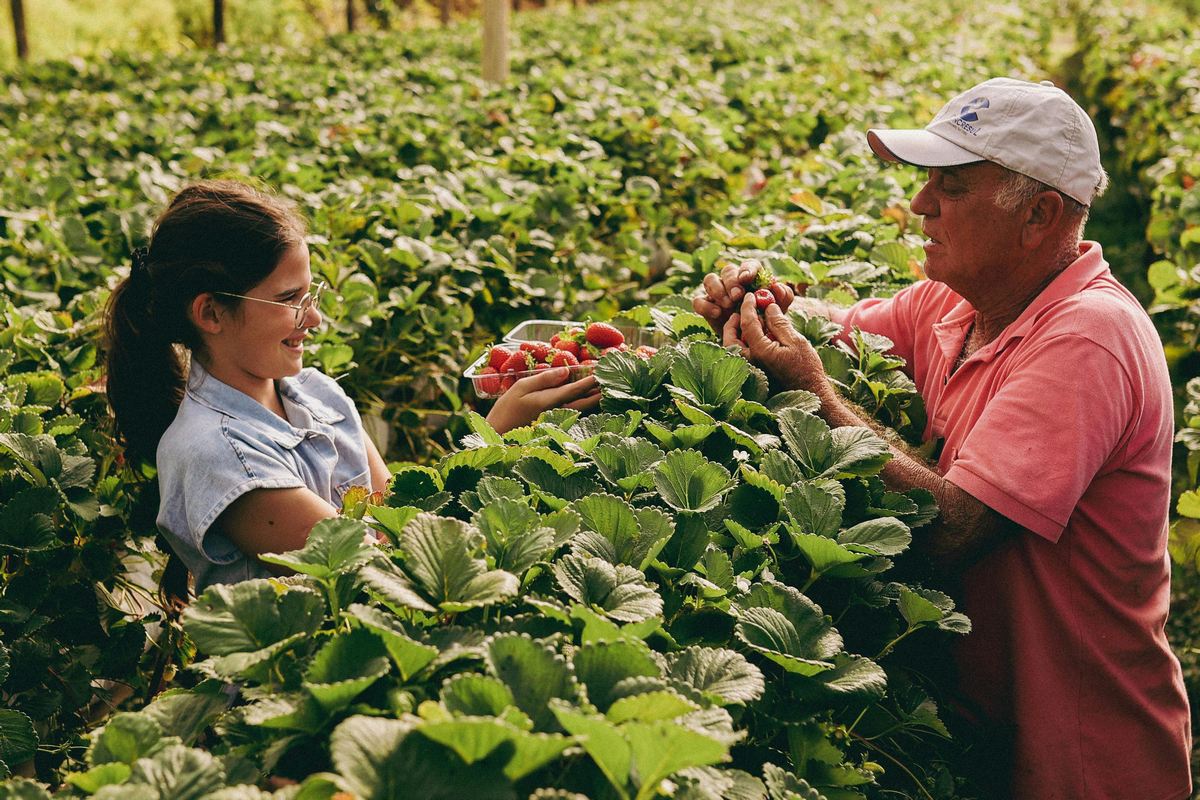Principais nutrientes essenciais para um adubo eficaz na fase de floração